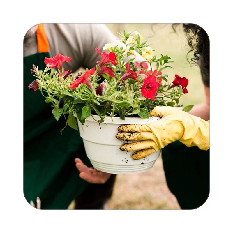 زیر لیوانی کاکتی طرح گل مدل mp16774