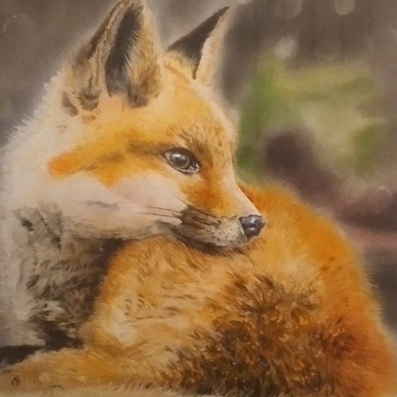 تابلو نقاشی مداد رنگی مدل روباه کد ۳۰