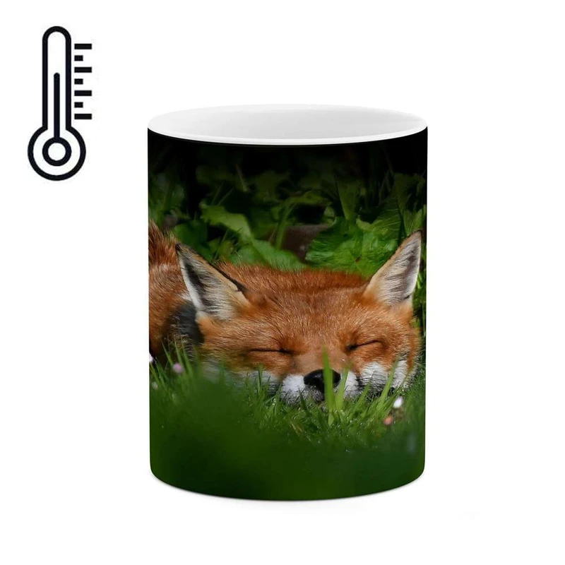 ماگ حرارتی کاکتی مدل روباه کد mgh16462