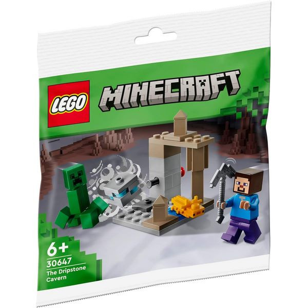 لگو سری Minecraft The Dripstone کد 30647 