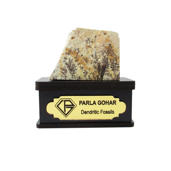 سنگ راف شجر فسیلی پارلا گوهر کد 2190