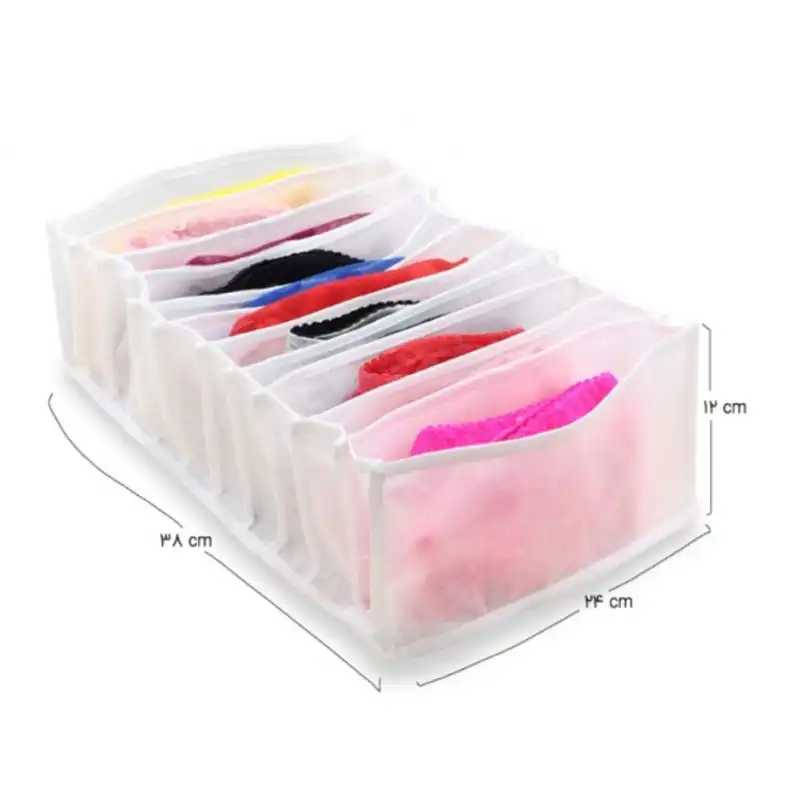 نظم دهنده مدل M1