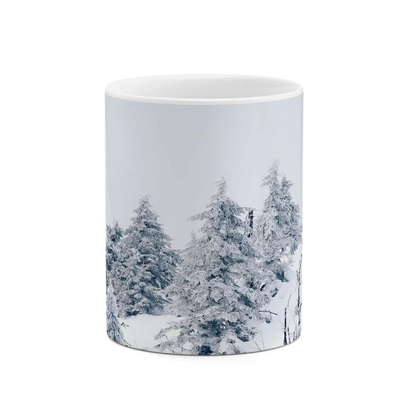 ماگ کاکتی مدل منظره کد mgh16687