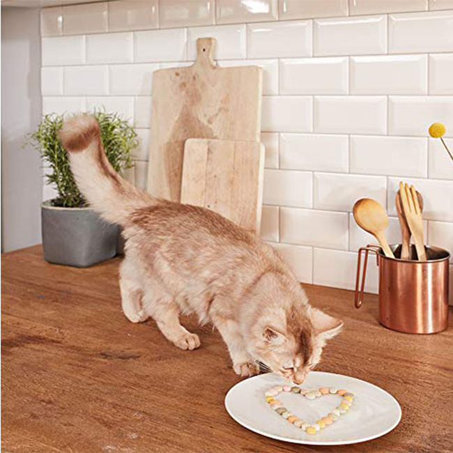 قرص مالت گربه جیم کت مدل Malt Tabs وزن 40 گرم