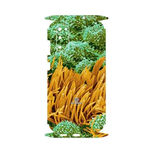 MAHOOT Atom Universe 6-FullSkin Cover Sticker for Samsung Galaxy S20