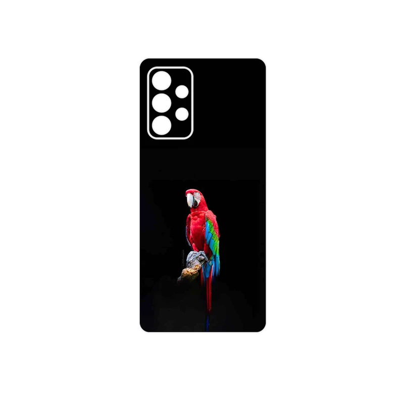 برچسب پوششی ماهوت مدل Parrot مناسب برای گوشی موبایل سامسونگ Galaxy A53 5G
