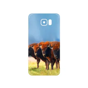 MAHOOT Buffalo Cover Sticker for Samsung Galaxy Note 5