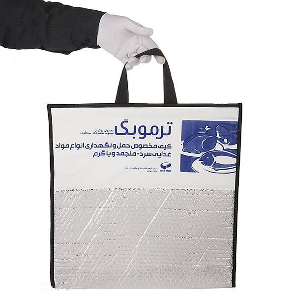 کیف خنک نگهدارنده سرماگرم مدل ترموبگ