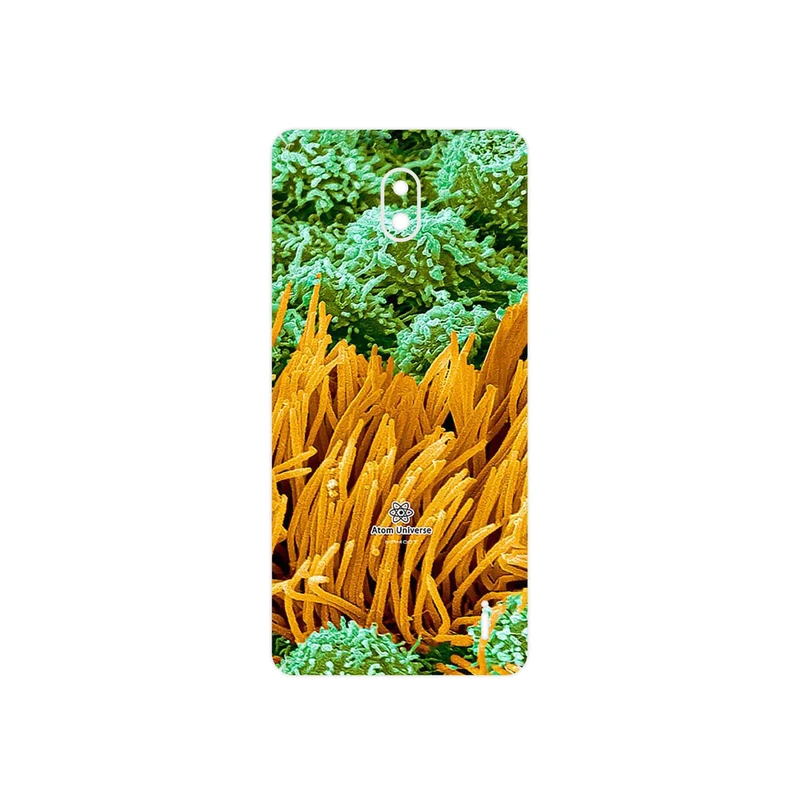 برچسب پوششی ماهوت مدل Atom Universe 6 مناسب برای گوشی موبایل نوکیا 1 Plus