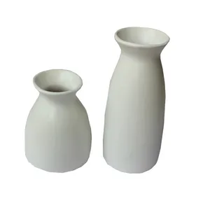 گلدان دکوری مدل مینیمال بسته دو عددی