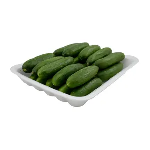 خیار بی بی درجه یک - 2 کیلوگرم