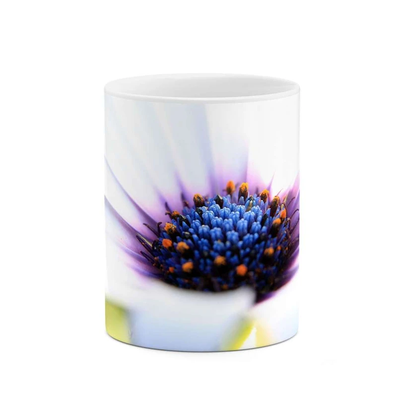 ماگ کاکتی مدل گل کد mgh12029