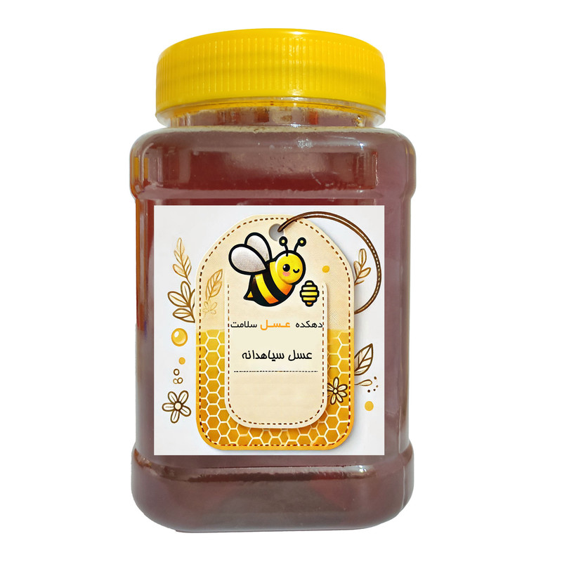 عسل سیاهدانه طبیعی دینا -  1 کیلوگرم