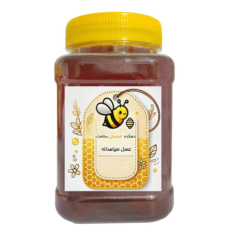 عسل سیاهدانه طبیعی دهکده عسل سلامت - 1 کیلوگرم