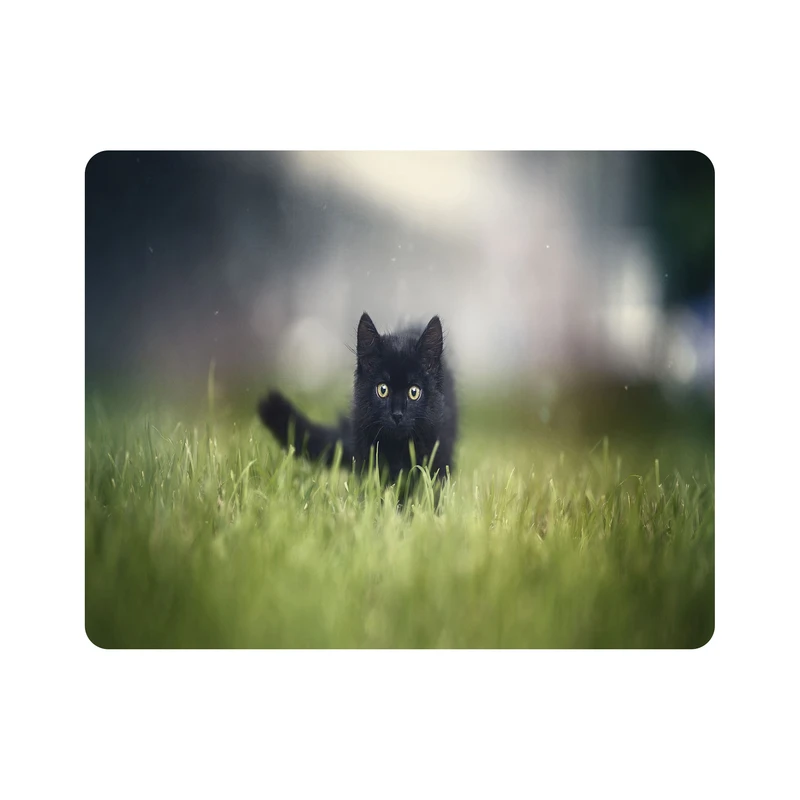 ماوس پد اطلس آبی طرح گربه روی چمن مدل T8006