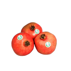 انار درجه یک اکوبیو 1 کیلو گرم