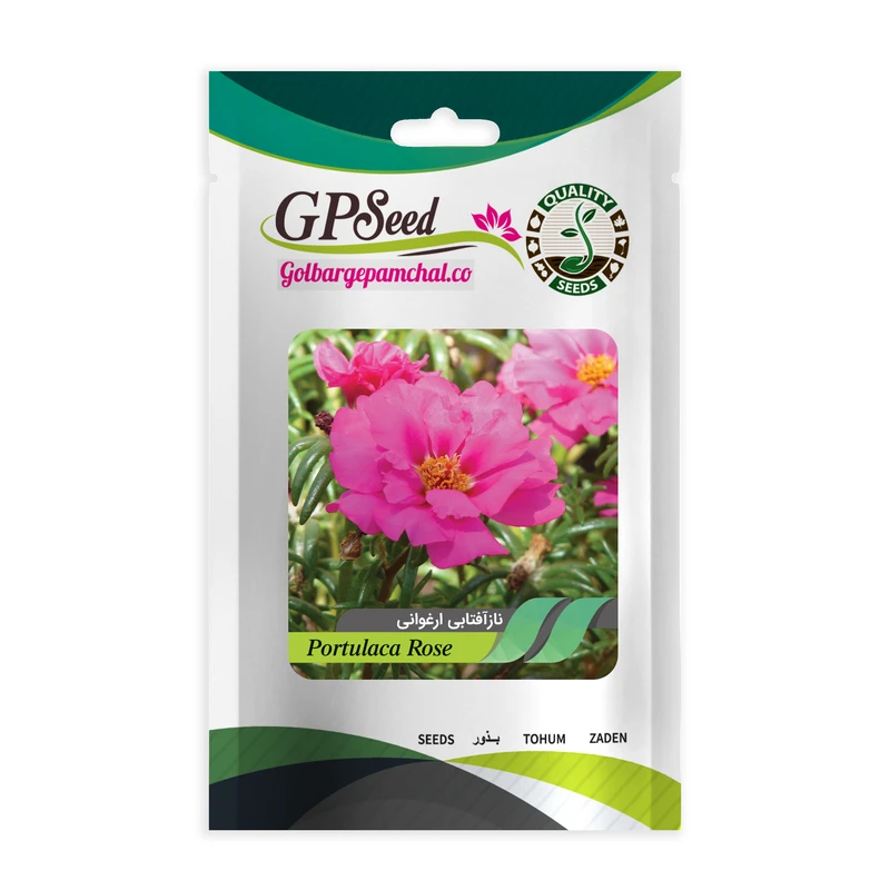 بذر گل ناز آفتابی ارغوانی گلبرگ پامچال کد GPF-274