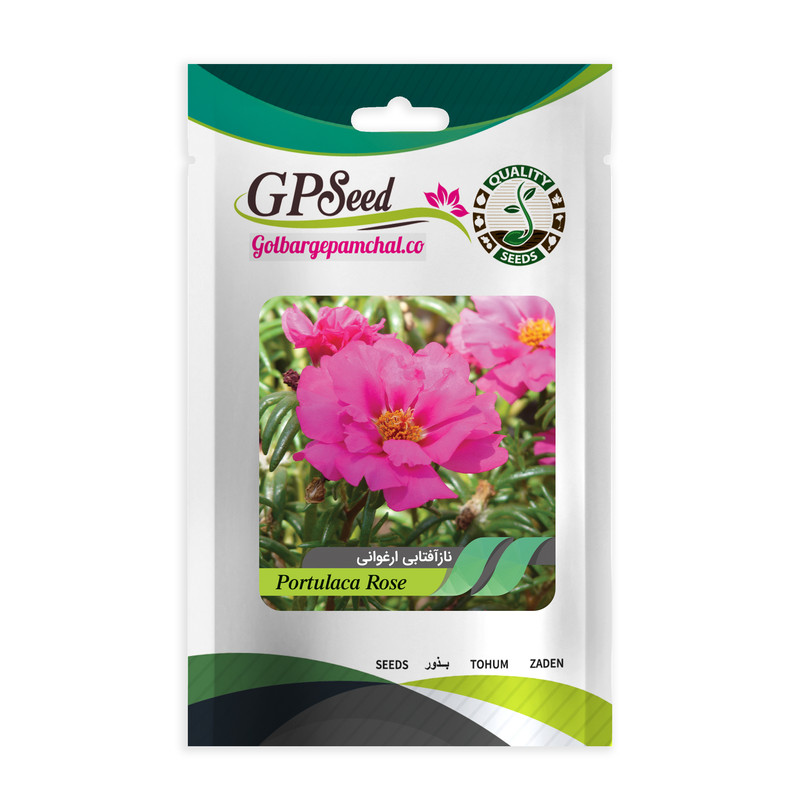 بذر گل ناز آفتابی پرفروش گلدانی گلبرگ پامچال کد G-P-GP-06 مجموعه 6 عددی