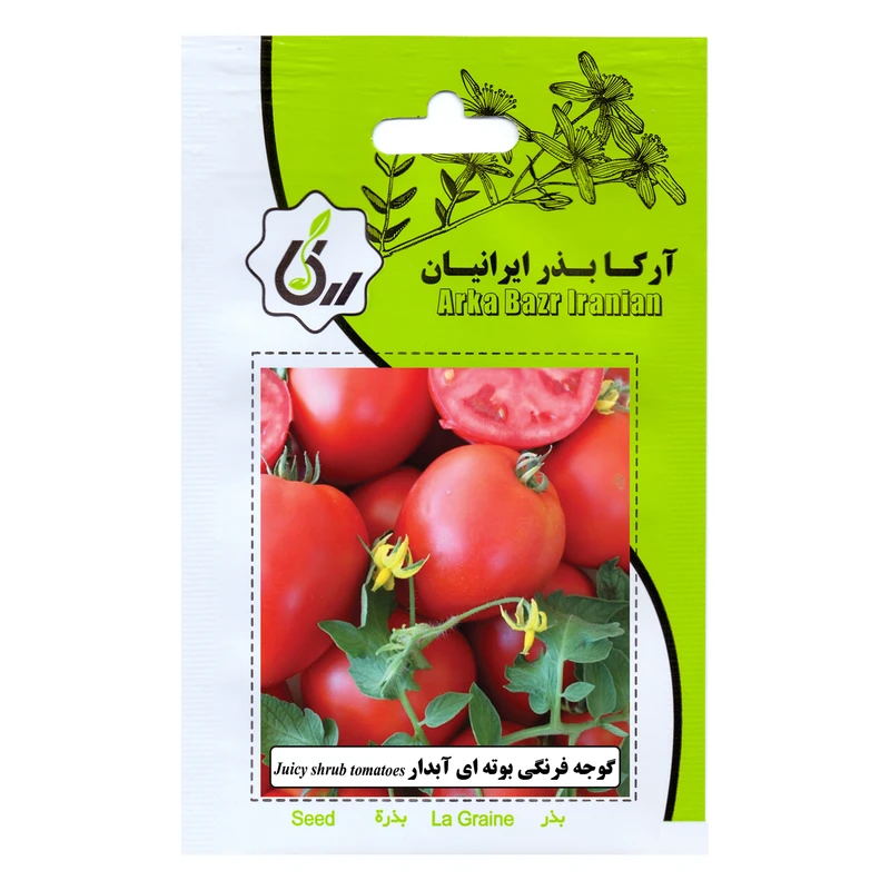 بذر گوجه فرنگی بوته ای آبدار آرکا بذر ایرانیان کد 24-ARK