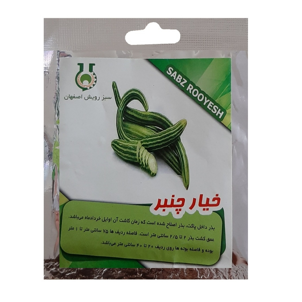 بذر خیار چنبر سبز رویش اصفهان کد S215