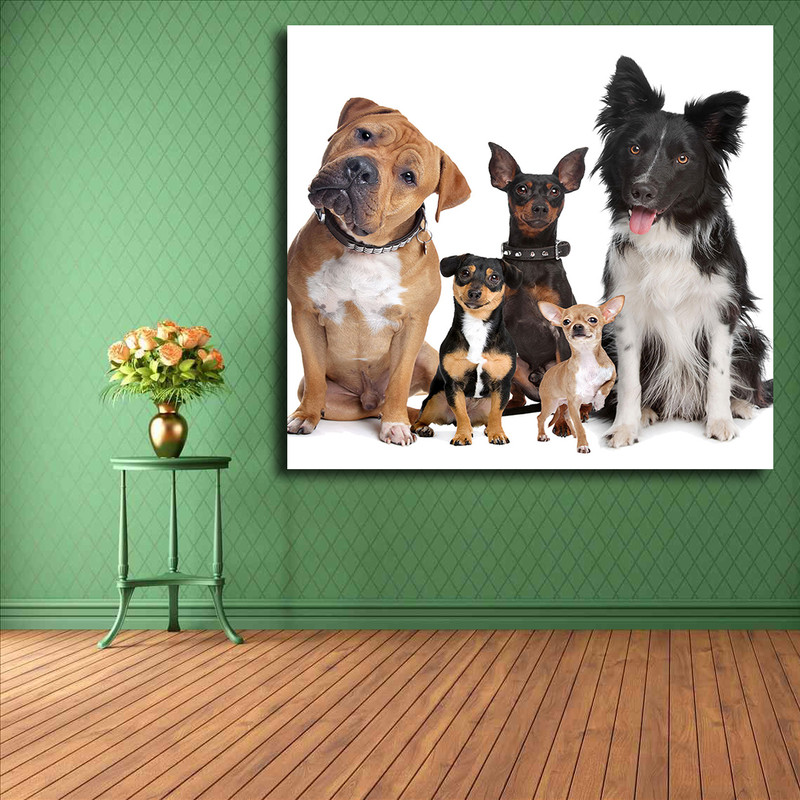 تابلو شاسی مدل سگ کد 15