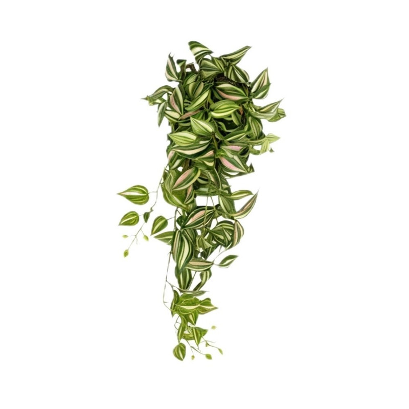 گیاه مصنوعی مدل برگ بی‌دی