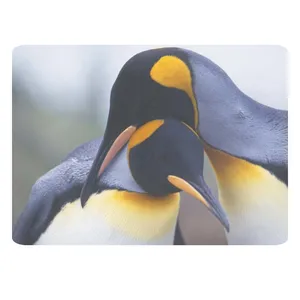 ماوس پد طرح پنگوئن کد B529
