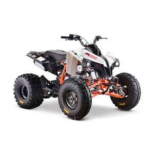 موتور چهار چرخ مدل کایو ATV300 سال 1402