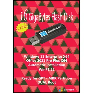 سیستم عامل Windows 11 X64 23H2 Ent. – Office 2021 Pro Plus نشر مایکروسافت