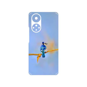 MAHOOT Cyanocitta cristata Cover Sticker for Honor 50
