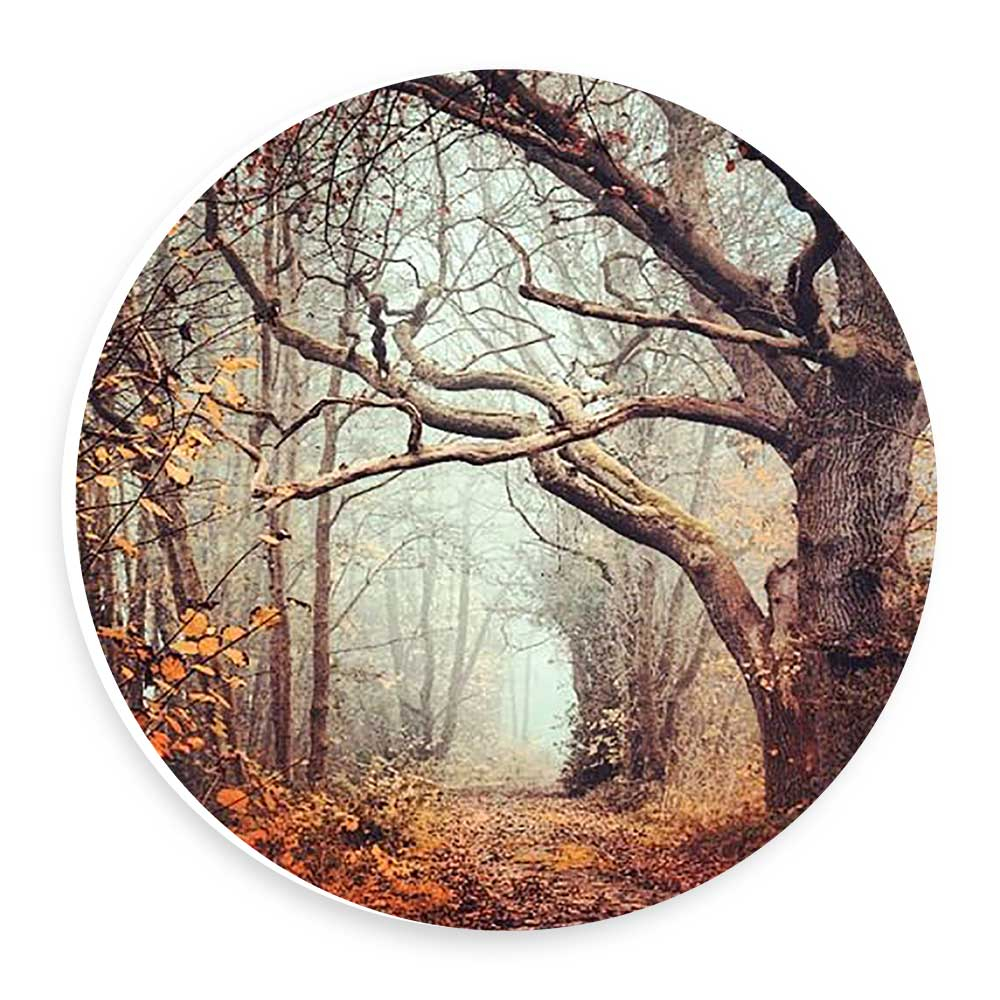   دیوارکوب طرح جنگل پاییزی مدل wtb828