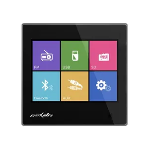 آمپلی فایر  آئوکسدیو مدل DM837