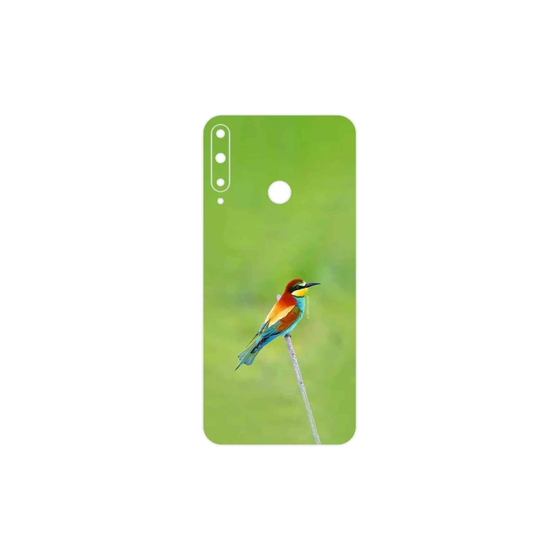 برچسب پوششی ماهوت مدل European bee-eater مناسب برای گوشی موبایل هوآوی Y7p