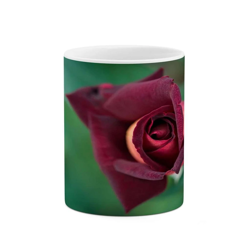 ماگ کاکتی مدل گل کد mgh16135