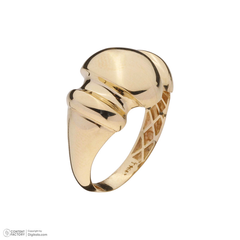 انگشتر طلا 18 عیار زنانه گلدم مدل اینه ایR-3090049 - 5