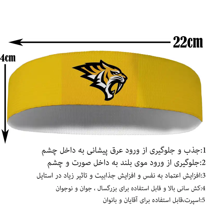 هدبند ورزشی آی تمر مدل ببر کد 260