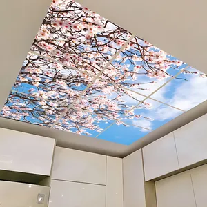 تایل سقفی آسمان مجازی مدل SK-419-3x3 سایز 60x60 مجموعه نه عددی