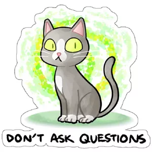 استیکر لپ تاپ مدل Don’t Ask Questions