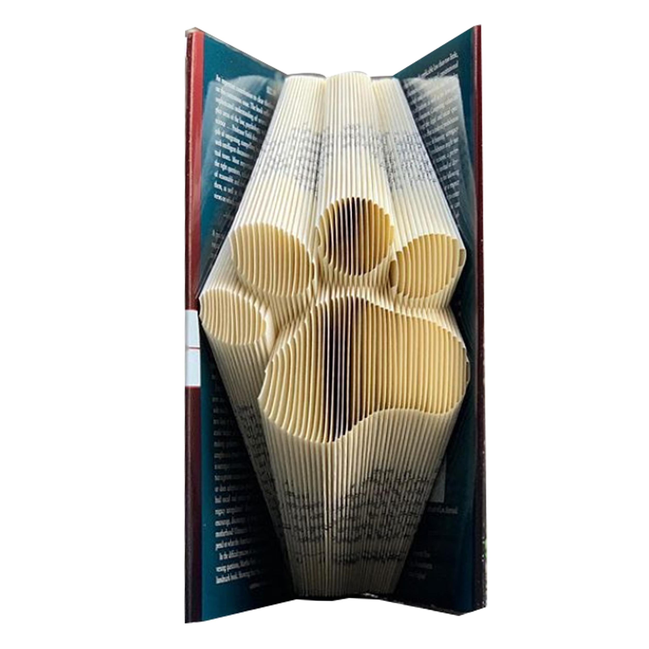 کتاب ترئینی طرح پنجه