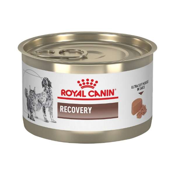 کنسرو گربه و سگ رویال کنین مدل recovery وزن 195 گرم