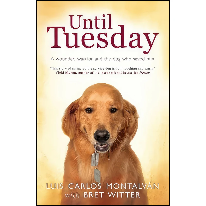 کتاب Until Tuesday اثر جمعي از نويسندگان انتشارات Hyperion