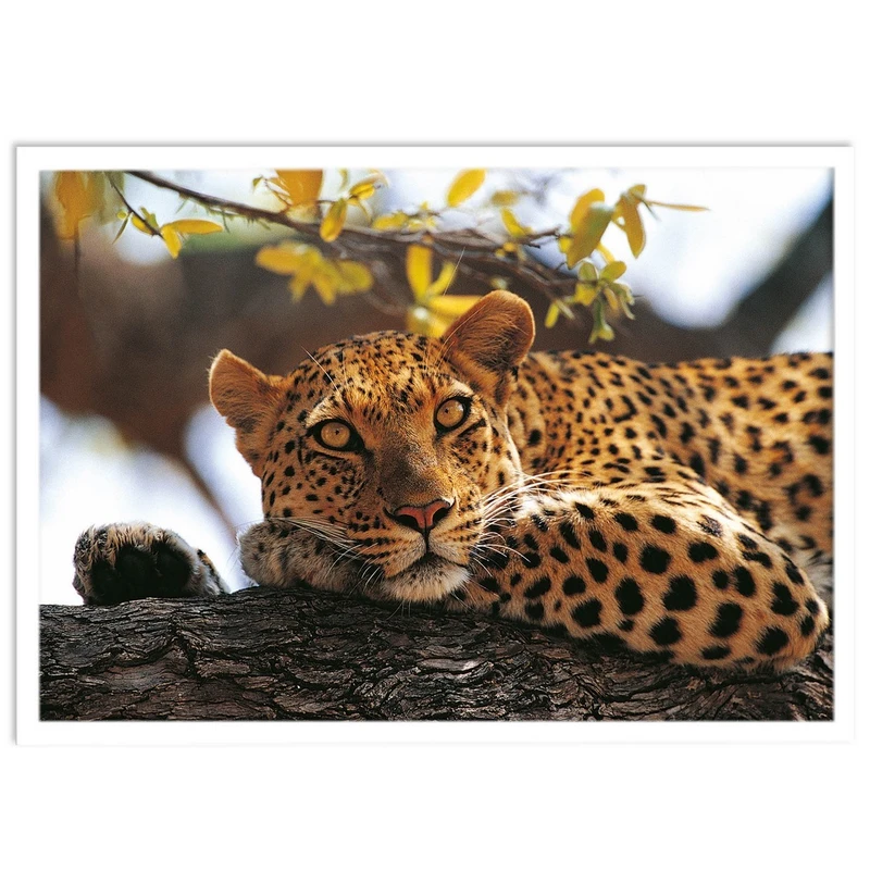 تابلو بکلیت طرح حیات وحش و پلنگ مدل W-S1444