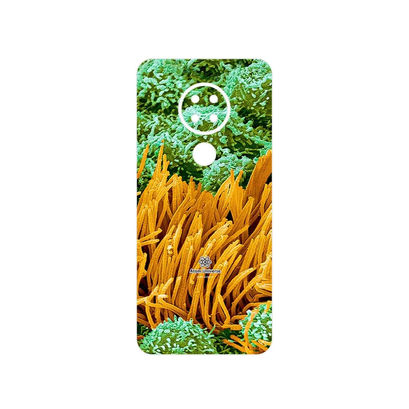 برچسب پوششی ماهوت مدل Atom Universe 6 مناسب برای گوشی موبایل نوکیا 7.2