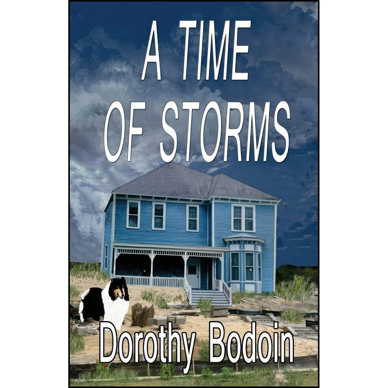 کتاب A Time of Storms  اثر Dorothy Bodoin انتشارات تازه ها
