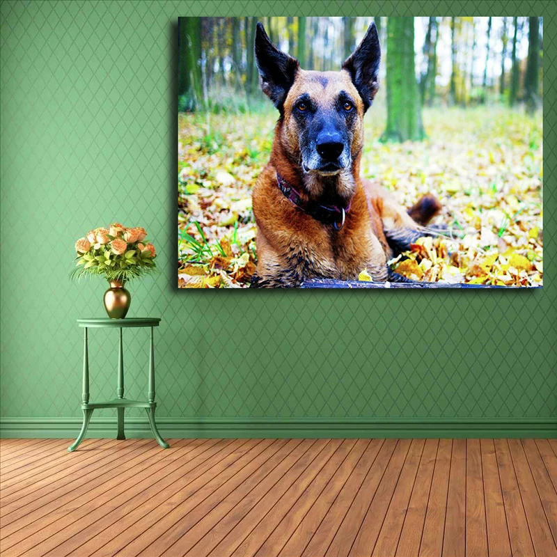 تابلو شاسی مدل سگ کد 10