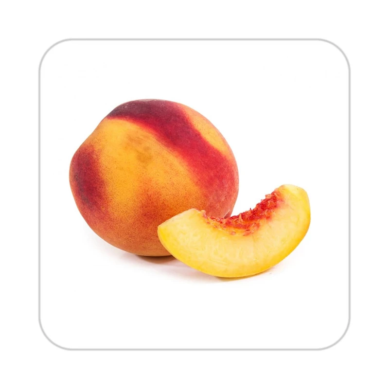 زیر لیوانی کاکتی طرح میوه مدل mp21717