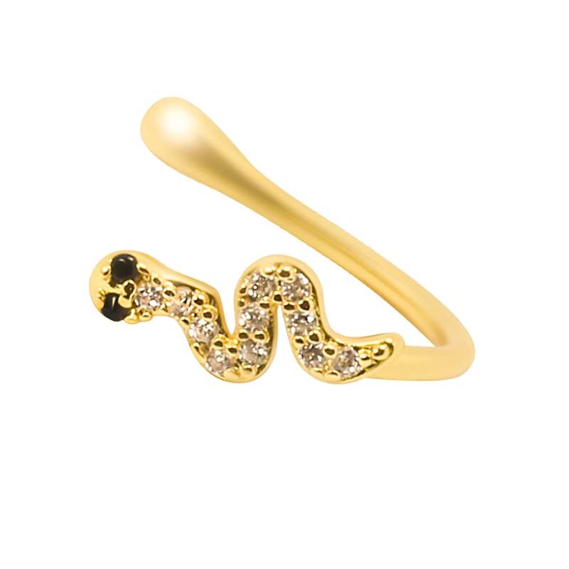 پیرسینگ بینی زنانه پایتخت مدل PS679_A پیرسینگ بینی زنانه پایتخت مدل PS679_A