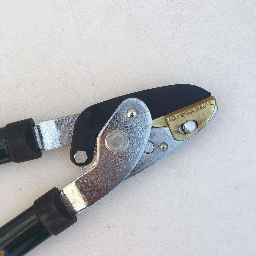 قیچی باغبانی شاخه زن تلسکوپی ویجکس مدل TEL-GH