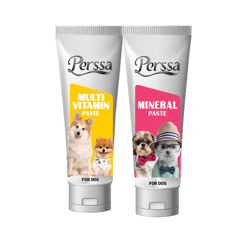 خمیر مولتی و مینرال سگ پرسا مدل 02  بسته 2 عددی وزن 100 گرم