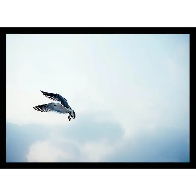 تابلو مدل از اوج